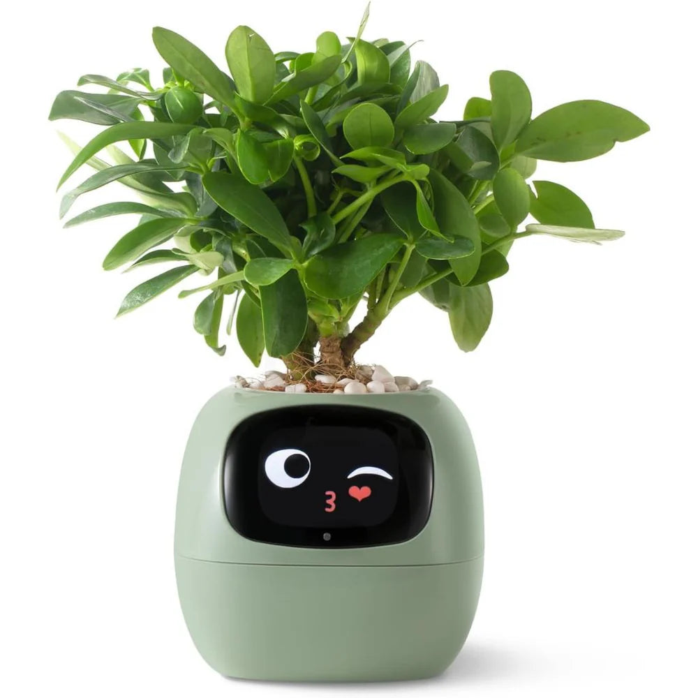 Smart Planter