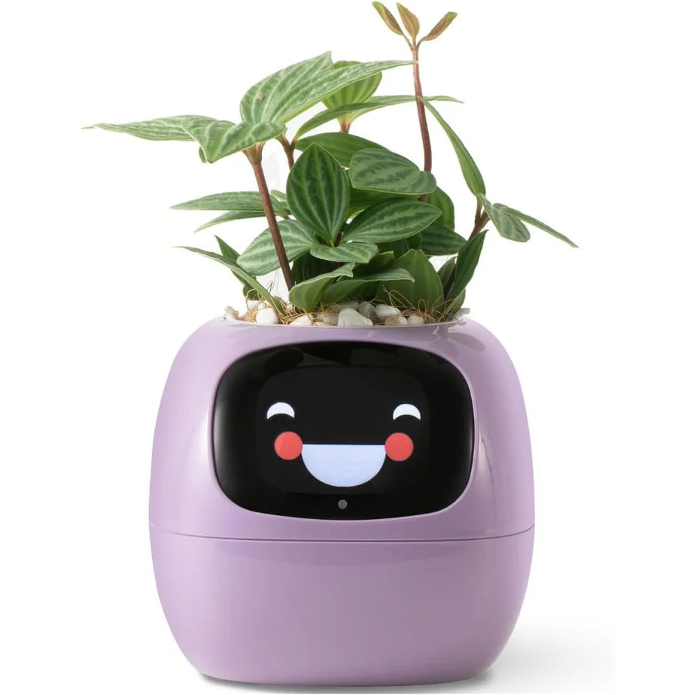 Smart Planter